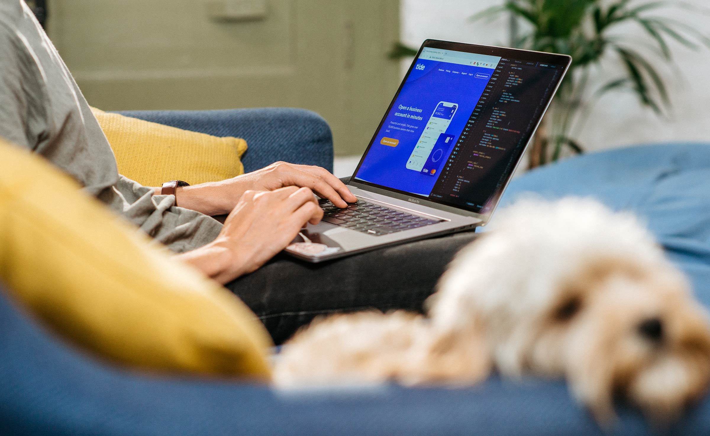 Tide website being developed